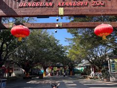 -东莞香市动物园