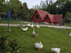 -同济大学(嘉定校区)