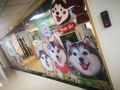 -Husky Go! 哈士奇体验馆·宠物咖啡厅狗咖