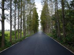 -嘉北郊野公园