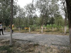 -西青郊野公园