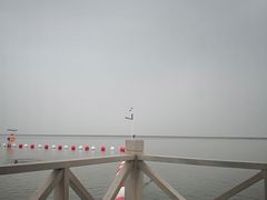 -碧海金沙