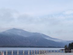 -何记羊汤馆(丽水佳源店)