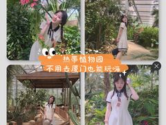 -大塘金香草谷
