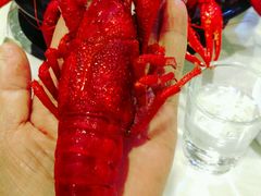 -虾弄弄海派小龙虾·牛羊蝎子火锅