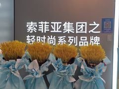 -红星美凯龙(上海沪南店)