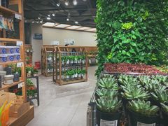 -鹿岛会员店 (龙湖三千集天街店)