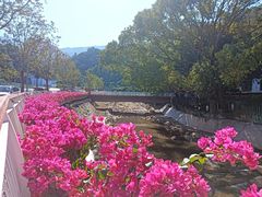 -梧桐山风景名胜区