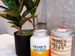 -素匠泰茶(三里屯SOHO工体奶茶店)