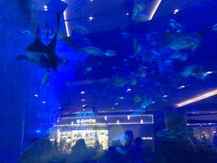 -成都浩海立方海洋公园