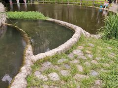 -成都市活水公园