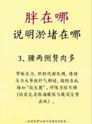 -Fundi张玉珊修身堂·indiba·BTL科技瘦身