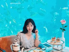 -涛·海底餐厅·美人鱼·自助餐·海底隧道(三亚海棠湾洲际度假酒店)