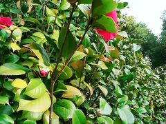 -江南大学(蠡湖校区)