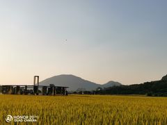 -艾米稻香小镇