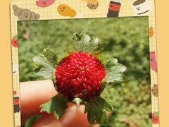 -咸阳湖景区-统一广场