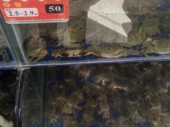 -阳澄湖大闸蟹·琼灵阁牌品牌连锁(吴中总店)