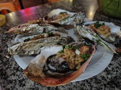 -八一湛江生蚝(文明东路总店)