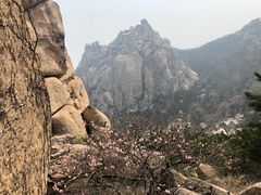 -崂山仰口游览区