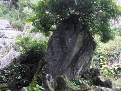 -梭布垭石林景区