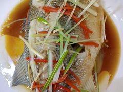 -好孕妈妈月嫂(沈河总店)