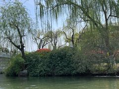-济南大明湖景区