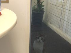 -炼呗运动康复·健身工作室(紫竹桥店)