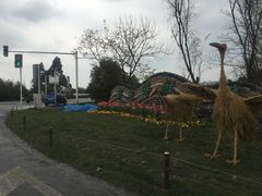 -桤木河湿地公园