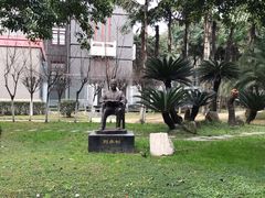 -四川大学(华西校区)