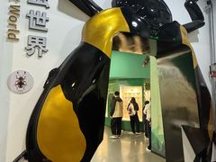 -国家自然博物馆