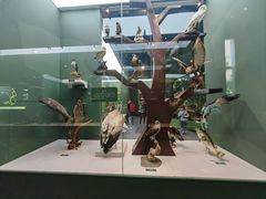 -国家自然博物馆