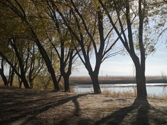 -野鸭湖国家湿地公园