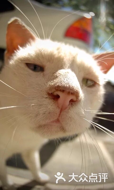 所有图片 avatar 0 次 407 / 51115-07-05 12:09 avatar | 设备