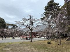 -醍醐寺