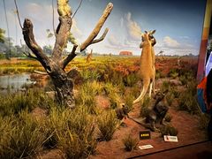 -陕西自然博物馆