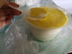 -雪露酸奶