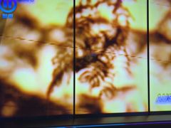 -温莎KTV(国贸店)