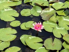 -白马涧龙池景区