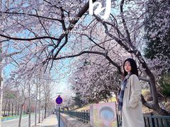 -玲珑塔公园