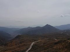 -空中草原