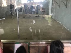 -南昌动物园