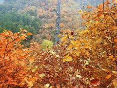 -狼牙山风景区