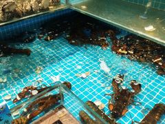 -良师门滨海人家·海鲜·家常菜(滨海城店)