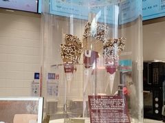 -哈根达斯(国瑞店)