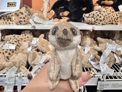 -宜家家居(哈尔滨商场店)