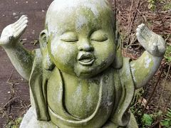 -武陵山森林公园
