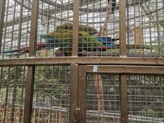 -南宫五洲植物乐园