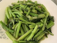-京北渔家傲