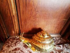 -金蜗牛