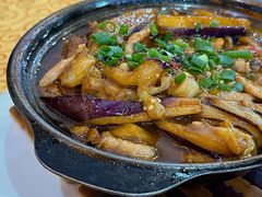 -水上鱼当家